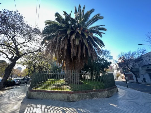 Torres en barrios residenciales: Como defender nuestra tranquilidad 