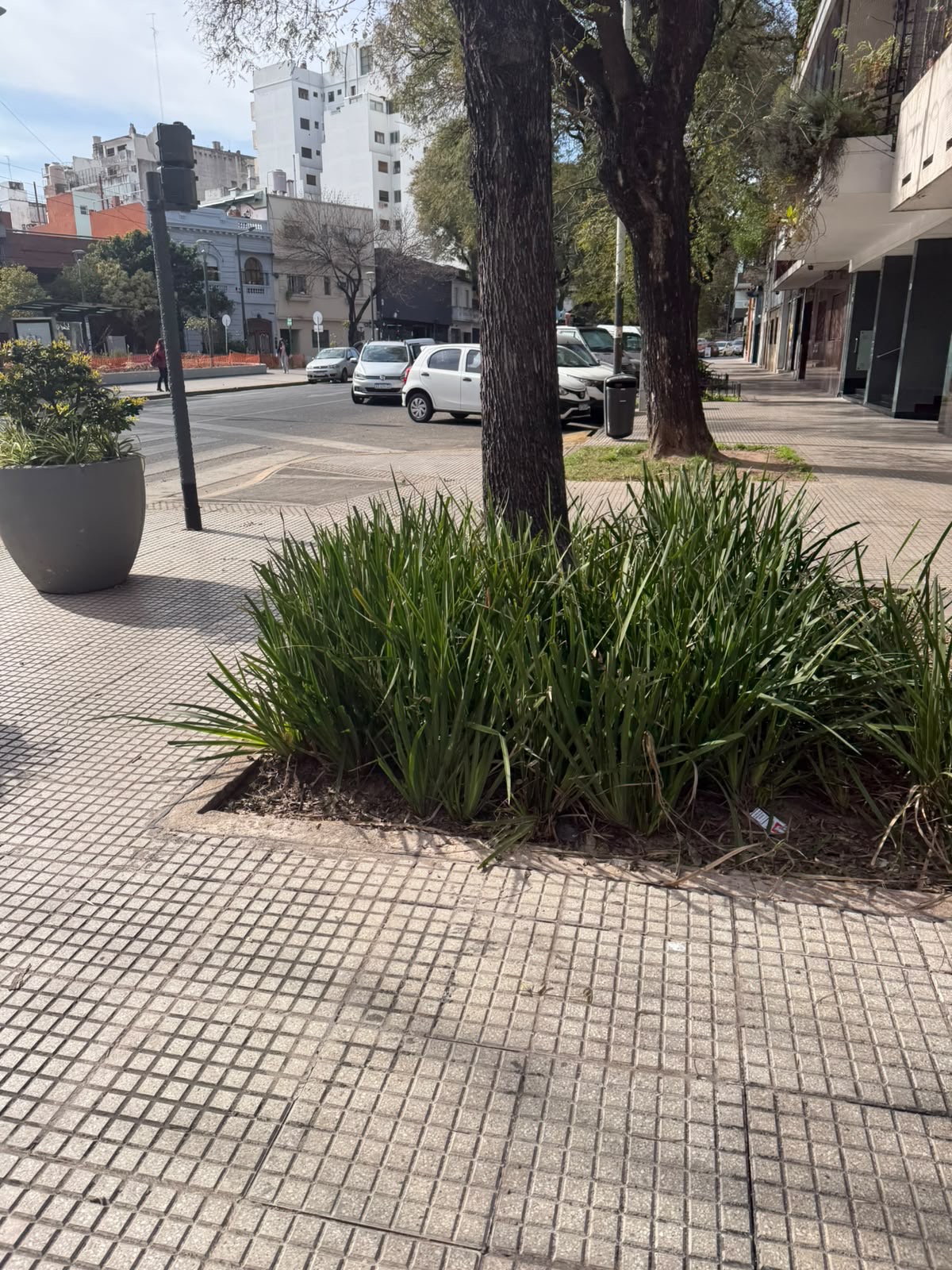 Avenida Warnes 123: las cuadras doradas que son furor en Villa Crespo hoy 3 avenida warnes 123 accion